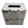 Fancy New Design White Fruit Corrugated Box